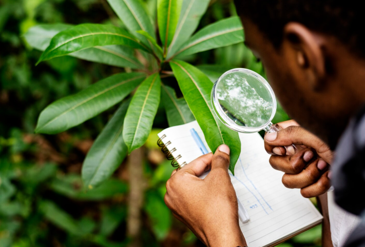 Environmental Permit Management South Africa | Ariscu